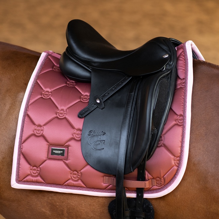 Equestrian Stockholm South Africa Amber Rose
