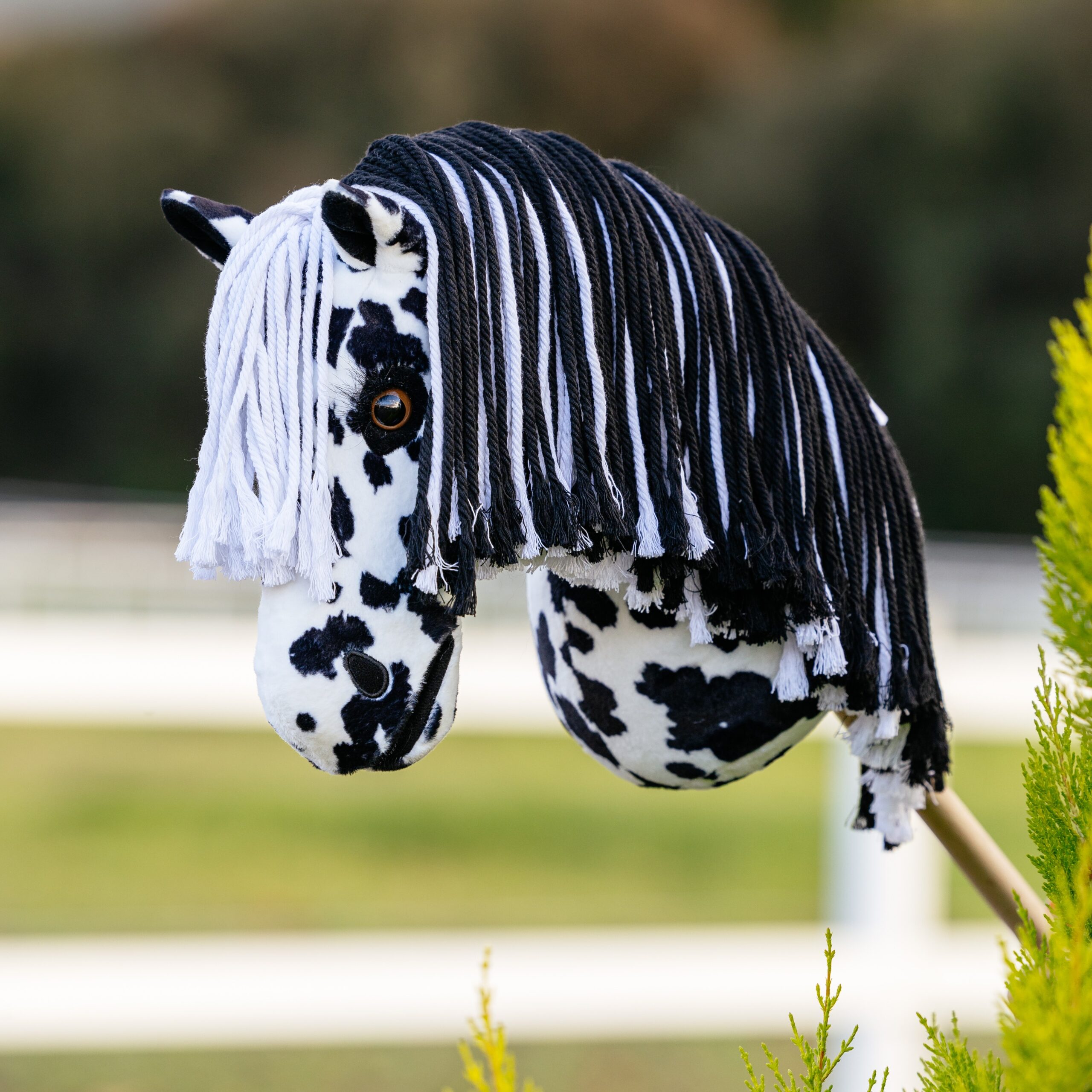 LeMieux South Africa Hobby Horse Dakota